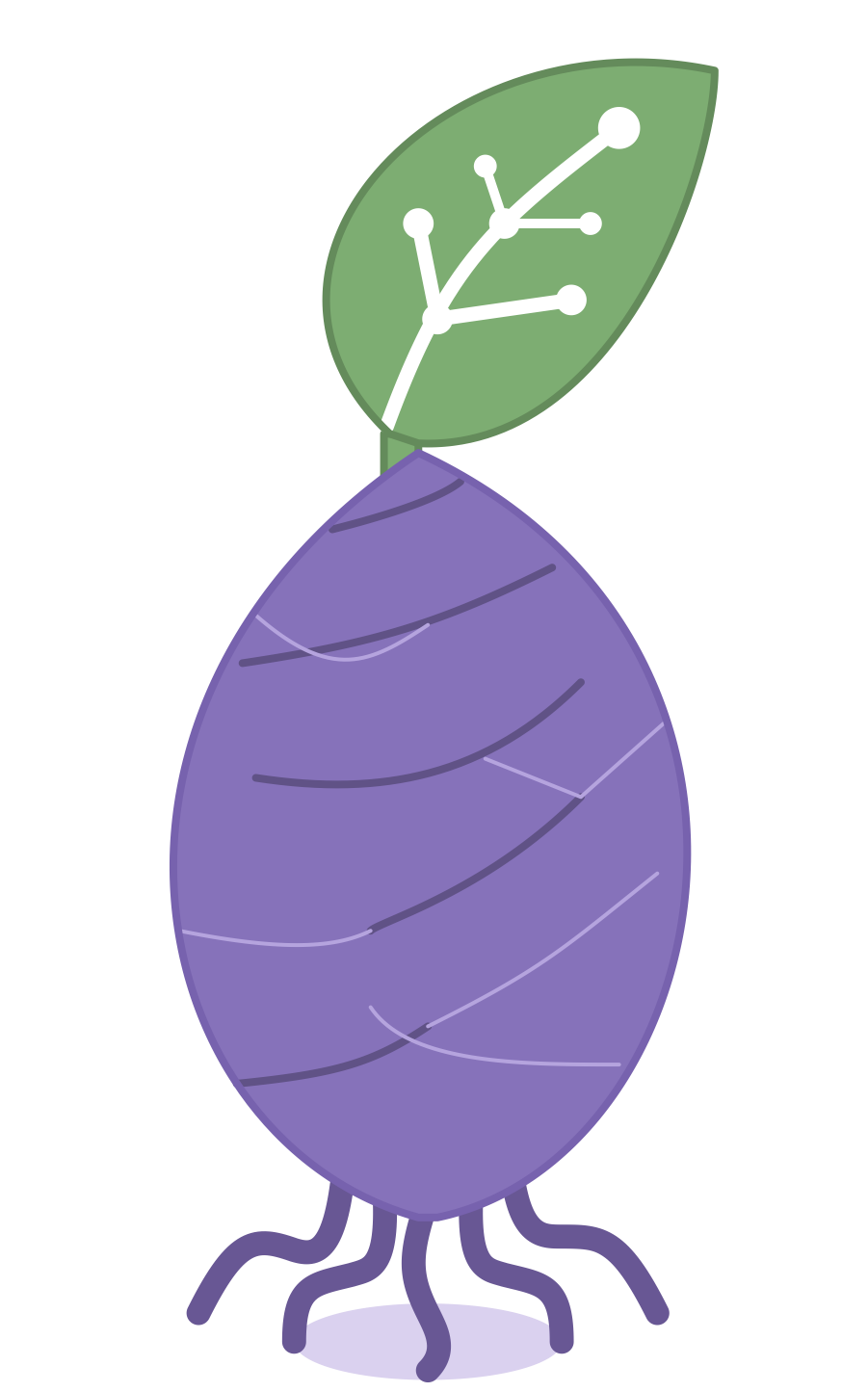 Taro Lab logo